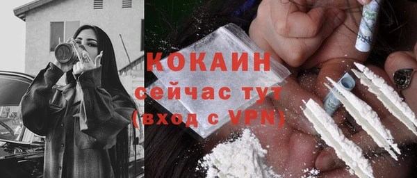 ГАЛЛЮЦИНОГЕННЫЕ ГРИБЫ Лагань