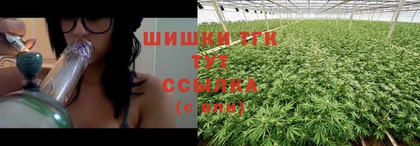 хмурый Корсаков