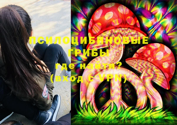 2c-b Кукмор