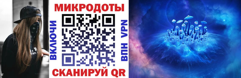 где можно купить наркотик  Тимашёвск  мориарти телеграм  Галлюциногенные грибы Psilocybe 