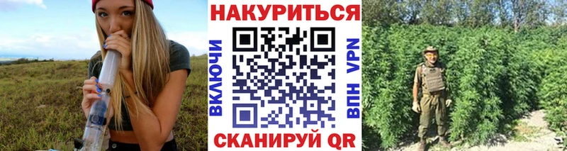 Канабис план Тимашёвск